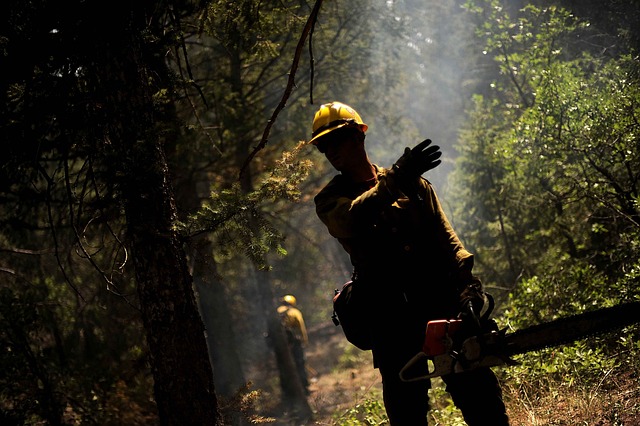 firefighter cutting trees